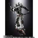 Tamashii Nations - CHOGOKIN GUNDAM EX
