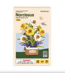 Robotime Rowood Narcissus DIY Flower Bouquet 3D Wooden Puzzle TF002