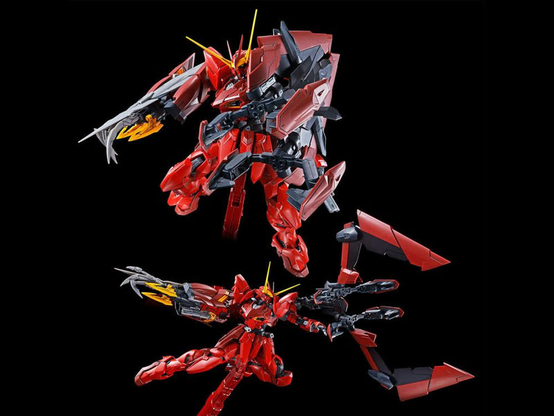 (PREMIUM-BANDAI) GUNDAM - MG 1/100 TESTAMENT GUNDAM RGX-00