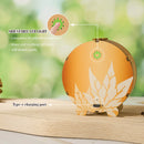 Woodbests - Squirrel's Reading Kit - 3D Wooden Puzzle Night Light