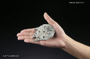 STAR WARS - VEHICLE MODEL 006 MILLENNIUM FALCON