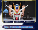 GUNDAM - BN HEAD COLLECTION VOL.2 - STRIKE FREEDOM GUNDAM (On Sale)