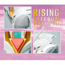 GUNDAM - BANDAI SHOKUGAN BN HEAD COLLECTION RISING FREEDOM GUNDAM