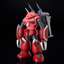 GUNDAM - HG 1/144 Z’Gok (Seed Freedom Ver.) 260