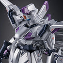 (PREMIUM-BANDAI) GUNDAM - RE/100 XM-07 VIGNA GHINA (EXTRA FINISH VER.)