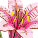 Robotime Rowood DIY Wooden Flower Pink Lily 3D Wooden Puzzle TW071