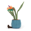 JELLYCAT AMUSEABLES BIRD OF PARADISE MULTI-COLOURED 14X17X38 CM