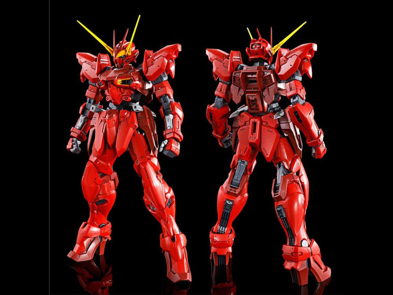 (PREMIUM-BANDAI) GUNDAM - MG 1/100 TESTAMENT GUNDAM RGX-00