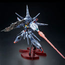 (PREMIUM-BANDAI) GUNDAM - MG 1/100 PROVIDENCE GUNDAM SPECIAL COATING VER.