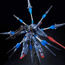 (PREMIUM-BANDAI) GUNDAM - MG 1/100 PROVIDENCE GUNDAM SPECIAL COATING VER.