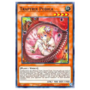 Yu-Gi-Oh! Structure Deck : Beware Of Traptrix Assorted