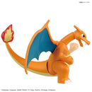 POKEMON - MODEL KIT CHARIZARD & DRAGONITE