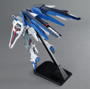 GUNDAM - MG 1/100 FREEDOM GUNDAM Ver.2.0