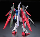 GUNDAM - RG 1/144 DESTINY GUNDAM 11