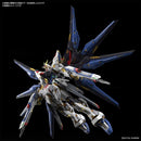 GUNDAM - MGEX 1/100 STRIKE FREEDOM GUNDAM